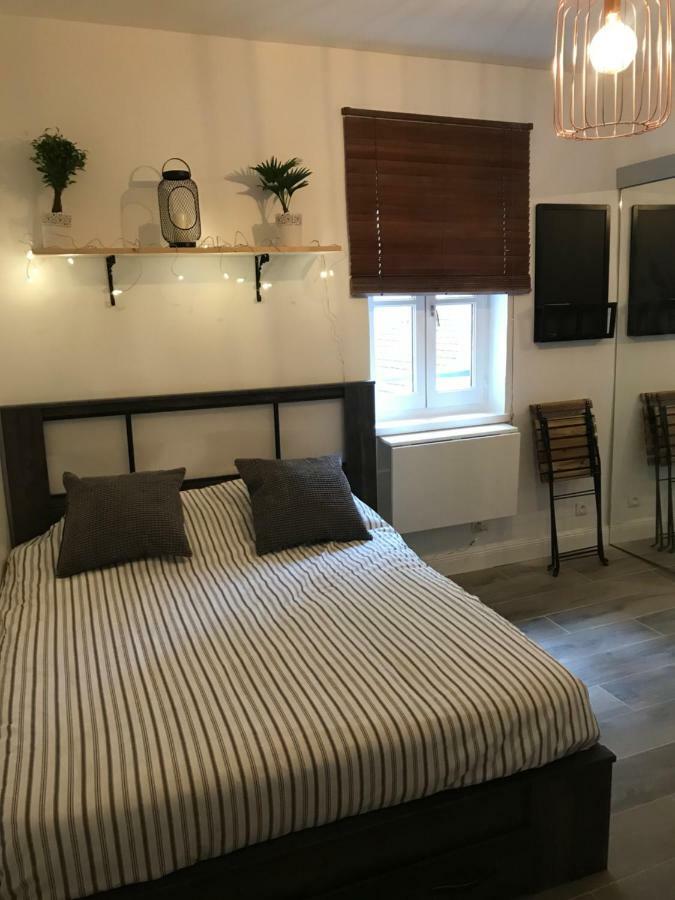 Studio Au Coeur De Lyon Apartman Kültér fotó